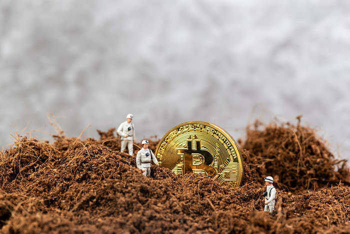 Digging Bitcoin How much can a miner earn in a day?